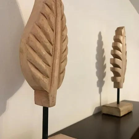 فيلة Casa Printre Gradini براشوف