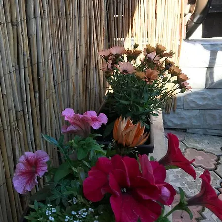 Casa Printre Gradini