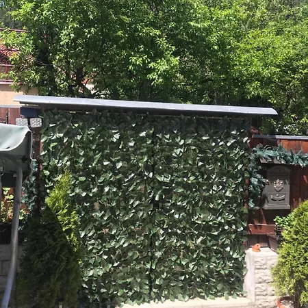 Casa Printre Gradini * Braşov