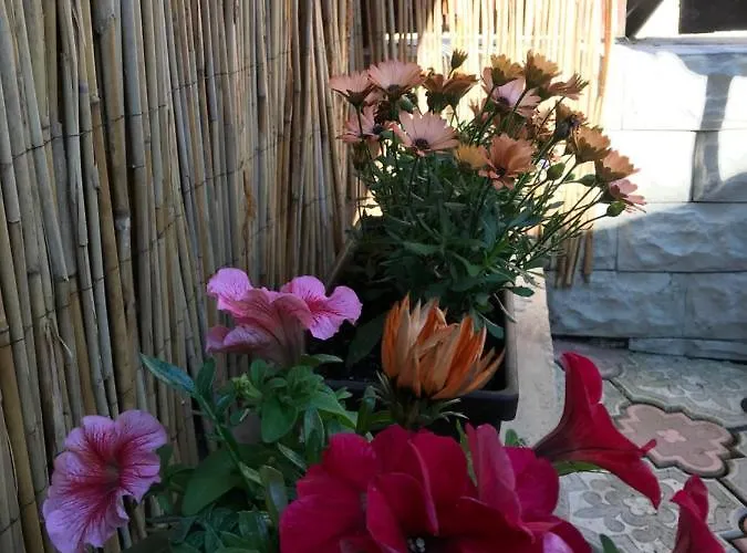 Casa Printre Gradini