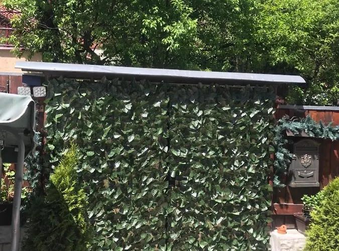 Casa Printre Gradini * Brasov